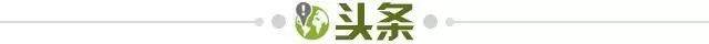 【早报】C罗111球超阿里·代伊登顶国家队射手榜！